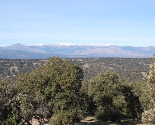 Blick von El Monte de El Pardo zur Sierra de Guadarrama